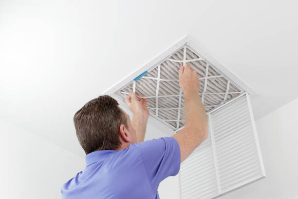Air Duct Mold Removal in Union Springs, AL